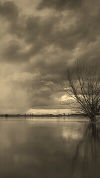 Szary + Sepia