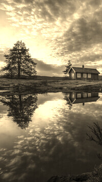Szary + Sepia