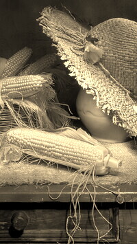 Szary + Sepia