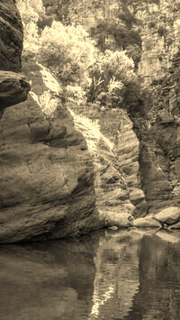 Sepia