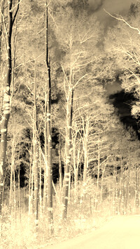 Sepia + Negatyw