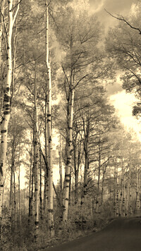 Sepia