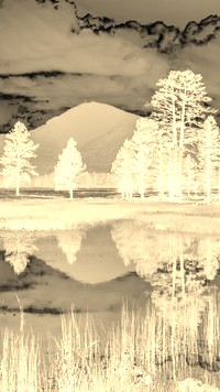 Sepia + Negatyw