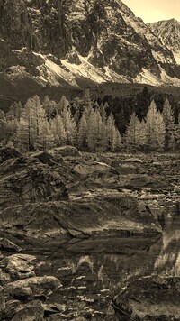 Szary + Sepia