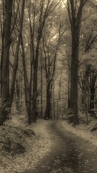 Szary + Sepia