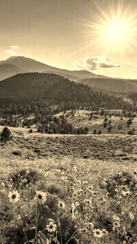 Szary + Sepia