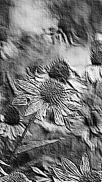 Skamielina