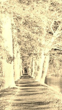 Sepia + Negatyw
