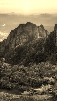 Sepia