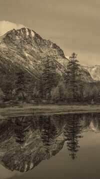 Szary + Sepia