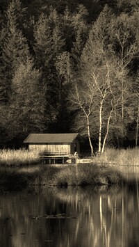 Sepia