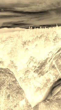 Sepia + Negatyw