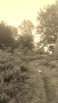 Szary + Sepia