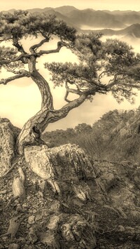 Sepia
