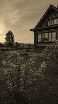 Sepia