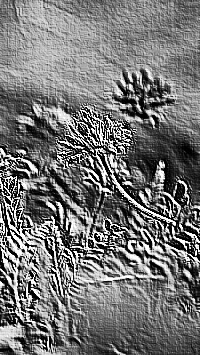 Skamielina