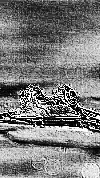 Skamielina