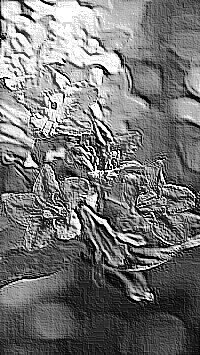 Skamielina