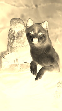 Sepia + Negatyw