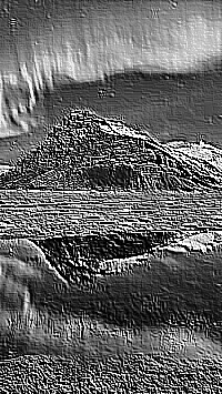 Skamielina