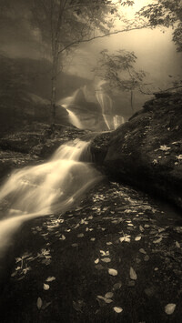 Szary + Sepia