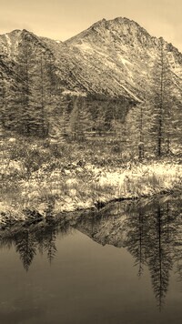 Szary + Sepia