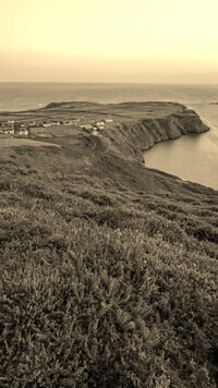 Sepia