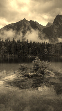 Szary + Sepia