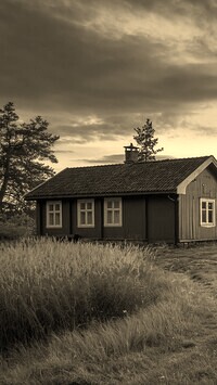 Szary + Sepia
