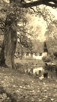 Sepia
