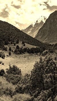 Sepia