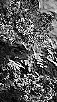 Skamielina