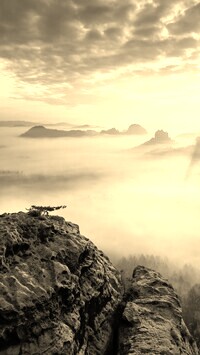 Sepia