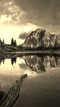Sepia