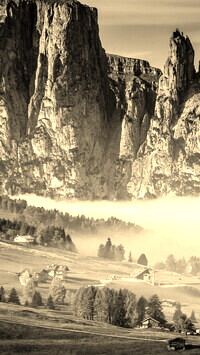 Szary + Sepia
