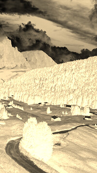 Sepia + Negatyw