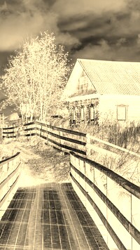 Sepia + Negatyw