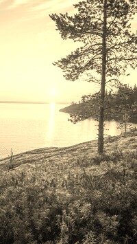 Sepia