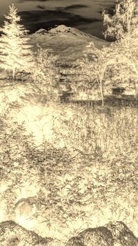 Sepia + Negatyw