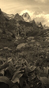 Sepia