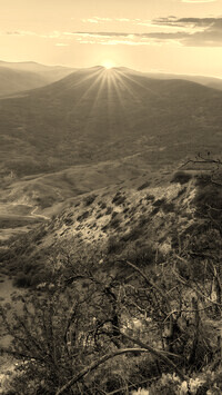 Sepia