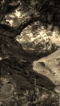 Szary + Sepia