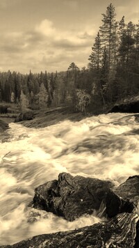 Sepia