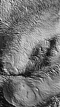 Skamielina
