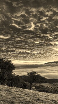 Szary + Sepia