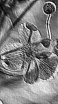 Skamielina