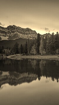 Szary + Sepia