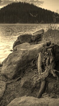 Sepia