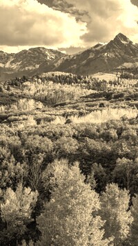 Sepia