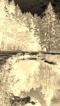 Sepia + Negatyw
